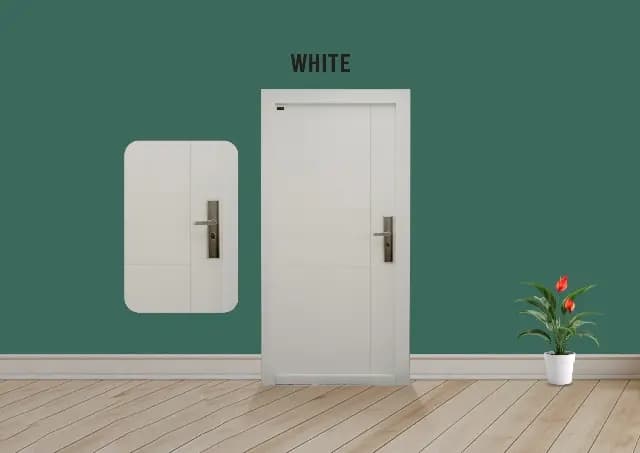 Steel Doors